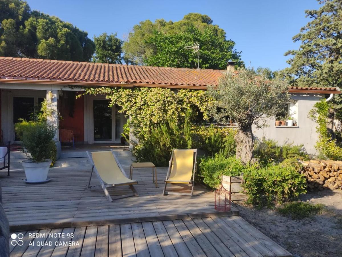 B&B La Terre Brulee Aigues-Mortes Exteriér fotografie
